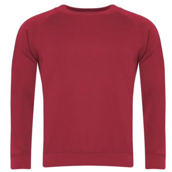 3SR Raglan Sweatshirt Junior Thumbnail